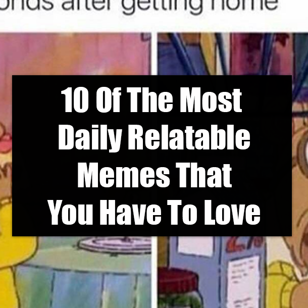 10 Of The Most Daily Relatable Memes That You Have To Love