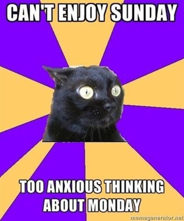 10 Of The Most Funny Monday Memes Ever! - picture 8