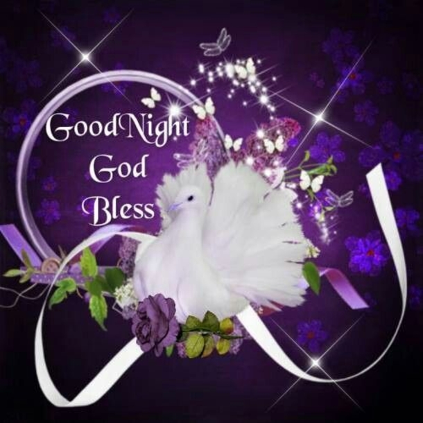 10 Of The Most Wonderful Good Night Quotes And Sayings - picture 2