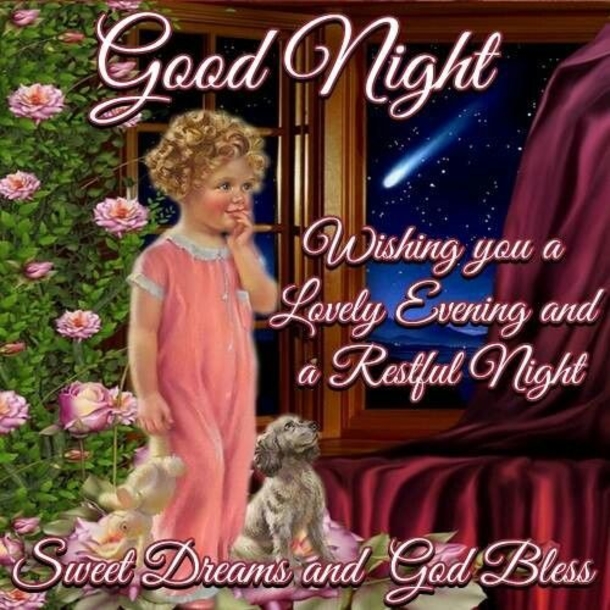 10 Of The Most Wonderful Good Night Quotes And Sayings - picture 4