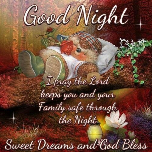 10 Of The Most Wonderful Good Night Quotes And Sayings - picture 5
