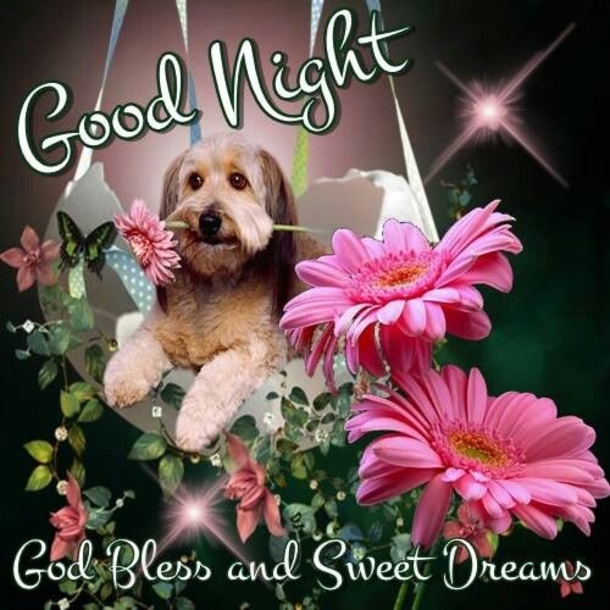 10 Of The Most Wonderful Good Night Quotes And Sayings - picture 6