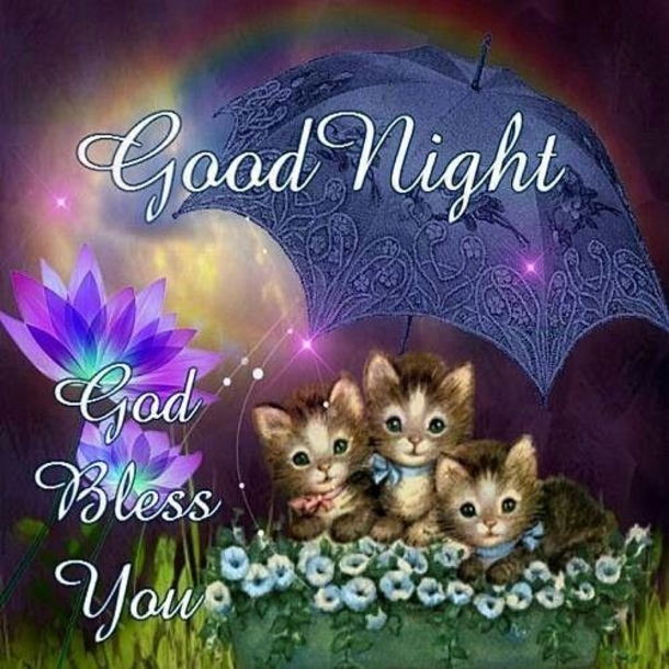 10 Of The Most Wonderful Good Night Quotes And Sayings - picture 7