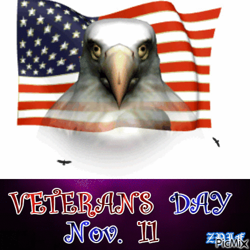 10 Patriotic Veterans Day Animations And Quotes - picture 3