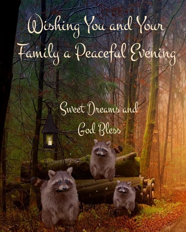 10 Peaceful And Blessed Good Evening Messages For 2023 - picture 11