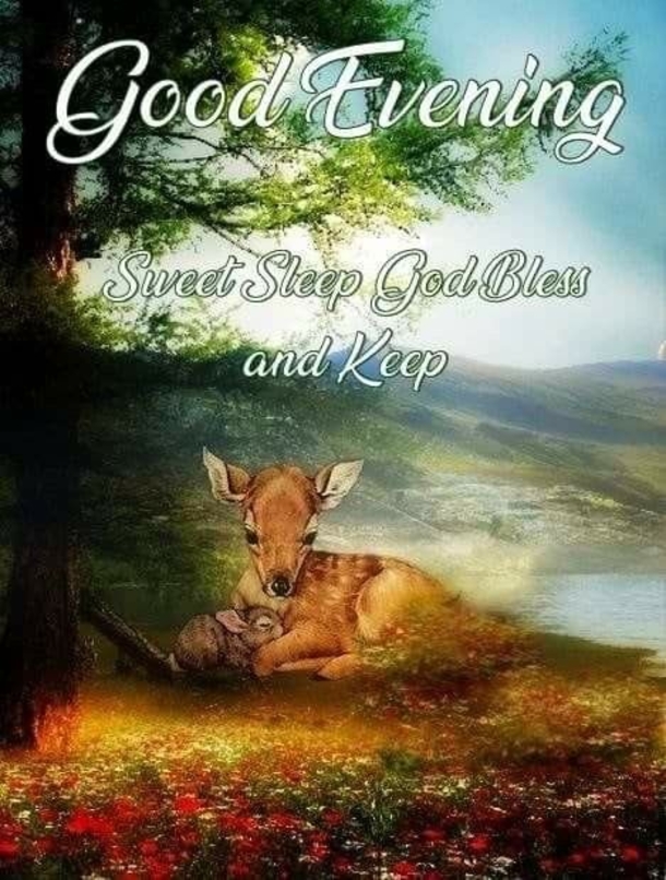 10 Peaceful Good Evening Images And Quotes - picture 5