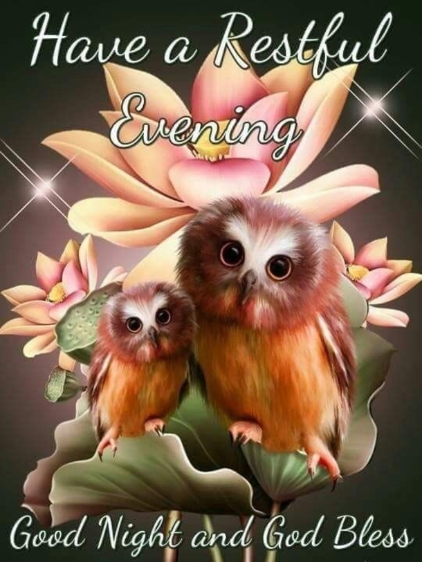 10 Peaceful Good Evening Images And Quotes - picture 8
