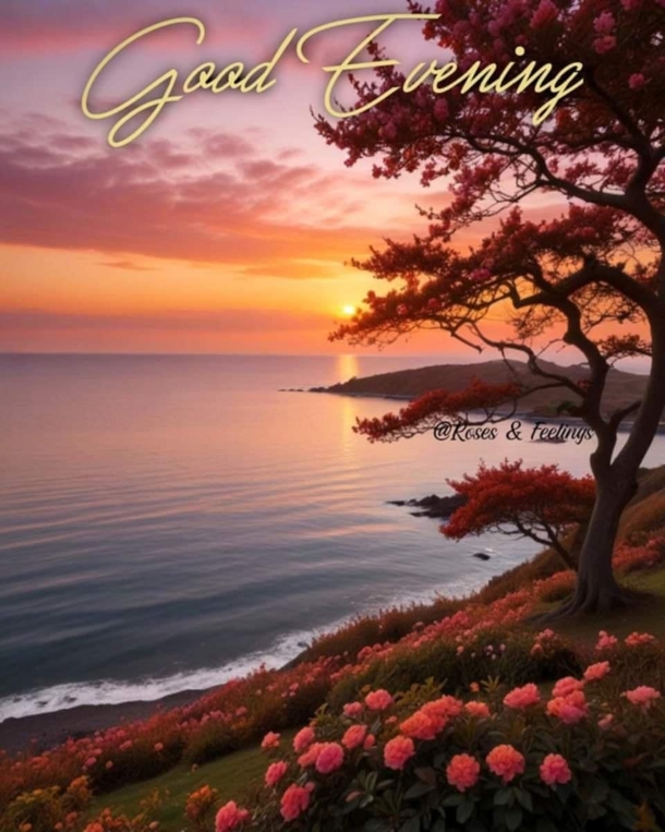 10 Peaceful Good Evening Messages to Relax and Recharge - picture 10