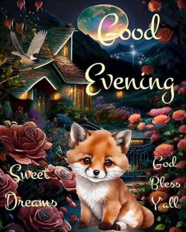 10 Peaceful Good Evening Messages to Relax and Recharge - picture 11