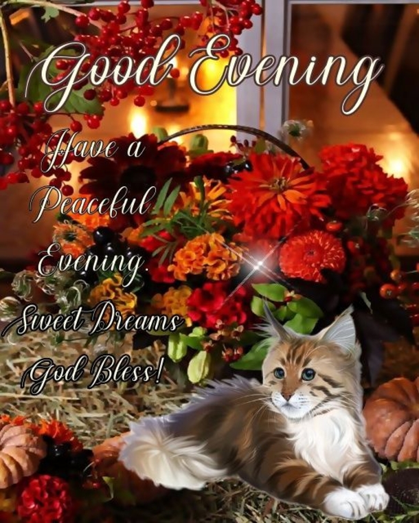 10 Peaceful Good Evening Messages to Relax and Recharge - picture 13
