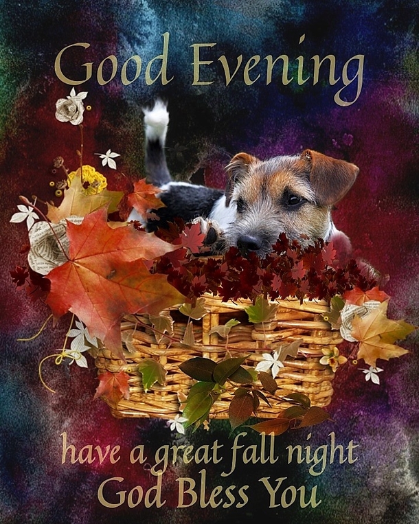 10 Peaceful Good Evening Messages to Relax and Recharge - picture 2