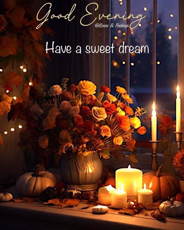 10 Peaceful Good Evening Messages to Relax and Recharge - picture 3