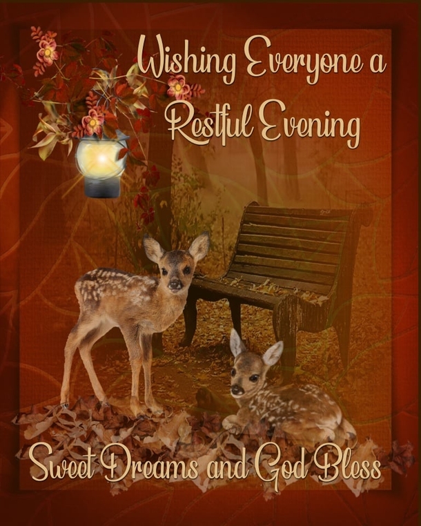 10 Peaceful Good Evening Messages to Relax and Recharge - picture 5