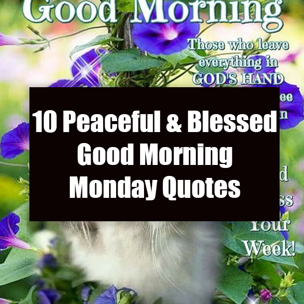 10 Peaceful & Blessed Good Morning Monday Quotes
