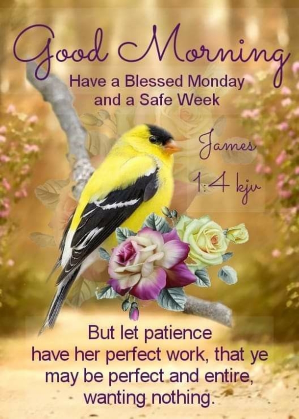 10 Peaceful & Blessed Good Morning Monday Quotes - picture 2