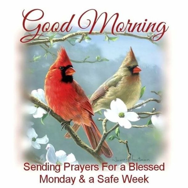 10 Peaceful & Blessed Good Morning Monday Quotes - picture 4