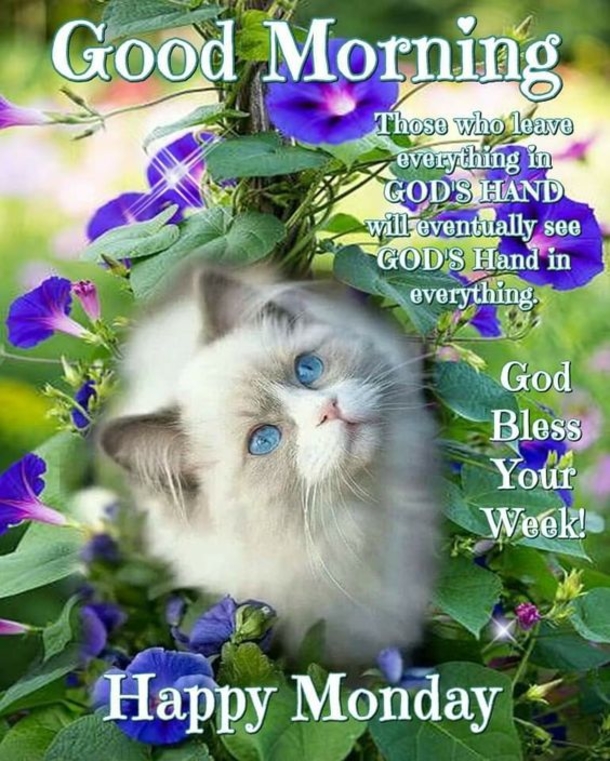 10 Peaceful & Blessed Good Morning Monday Quotes - picture 5