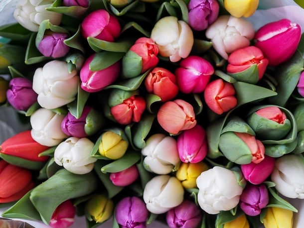 10 Perfect Floral Photography Images - picture 12
