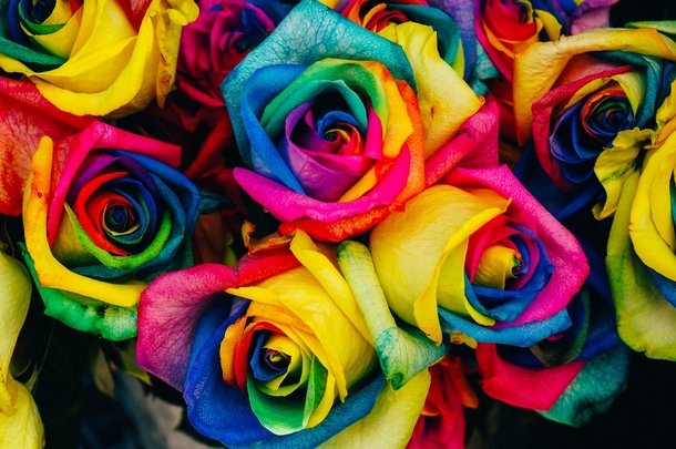 10 Perfect Floral Photography Images - picture 8