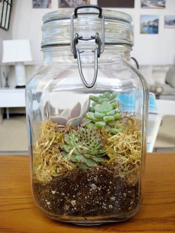 10 Perfect Gift In A Jar Ideas To Give To Your Loved Ones This Christmas - picture 9