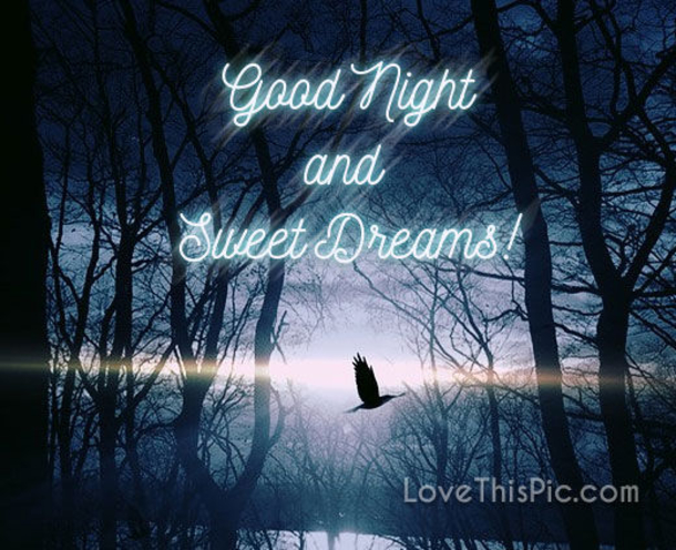 10 Perfect Good Night Images With Quotes - picture 3