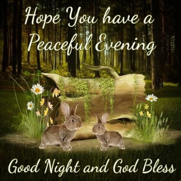 10 Perfect Good Night Images With Quotes - picture 5