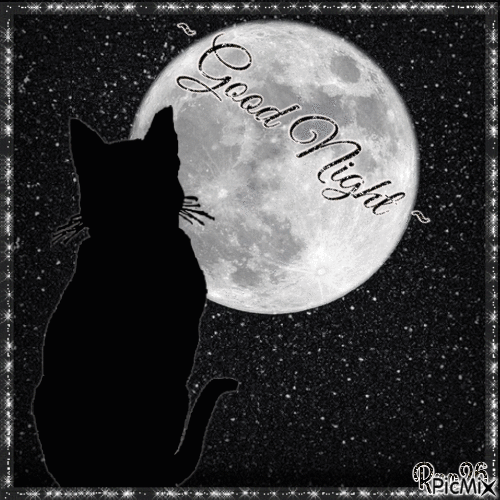 10 Perfect Good Night Images With Quotes - picture 9