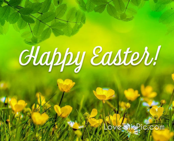 10 Perfect Happy Easter Quotes With Flowers - picture 2