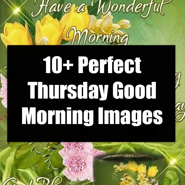 10+ Perfect Thursday Good Morning Images