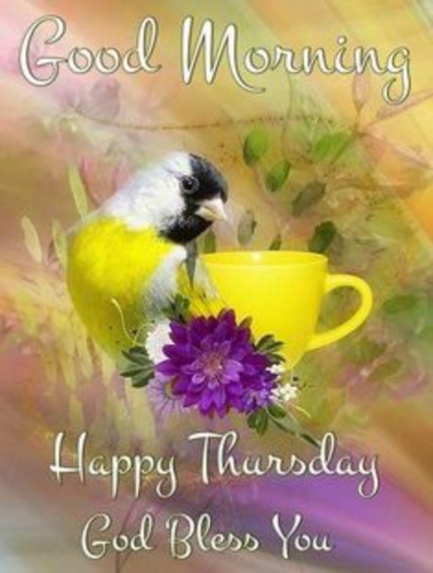10+ Perfect Thursday Good Morning Images - picture 11