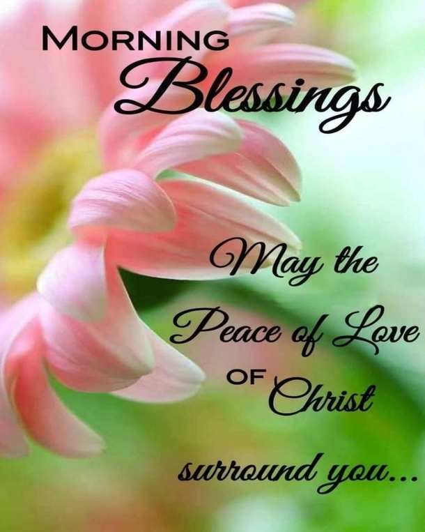 10+ Perfect & Inspiring Good Morning Quotes - picture 12