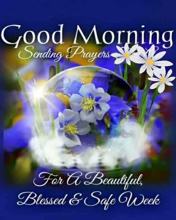 10+ Perfect & Inspiring Good Morning Quotes - picture 13