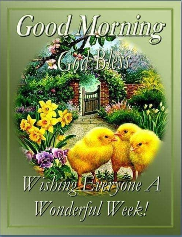 10+ Perfect & Inspiring Good Morning Quotes - picture 7