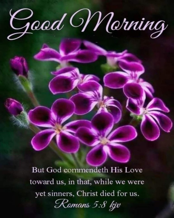 10+ Perfect & Inspiring Good Morning Quotes - picture 8