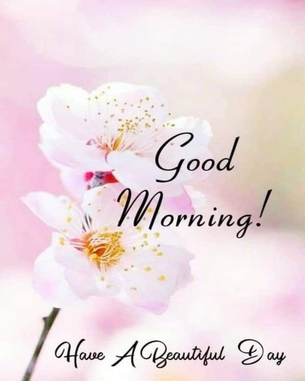 10+ Perfect & Inspiring Good Morning Quotes - picture 9
