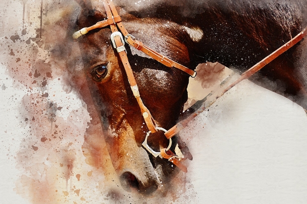 10+ Phenomenal Watercolor Paintings That Will Blow Your Mind! - picture 11