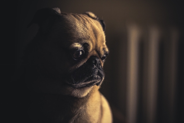 10 Photography Images About Sadness, Hurt & Pain - picture 5