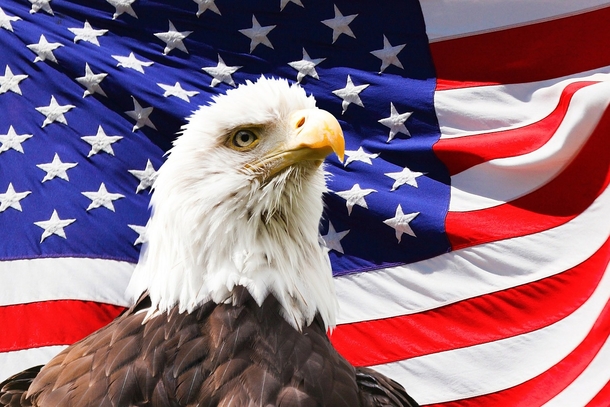 10 Photography Images To Bring Out The Patriotism Inside You - picture 5