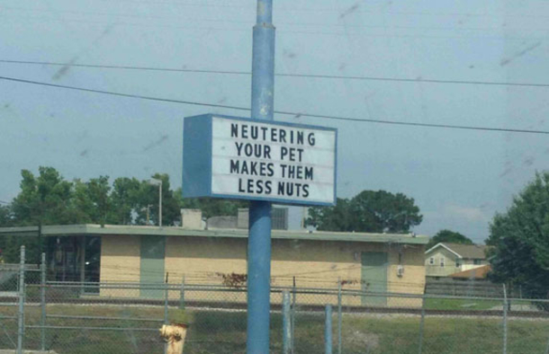 10 Pictures That Prove Being Self Explanatory Is A Gem - picture 4