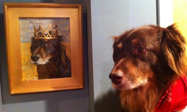 10 Pictures That Prove That Dogs Are Awesome - picture 6