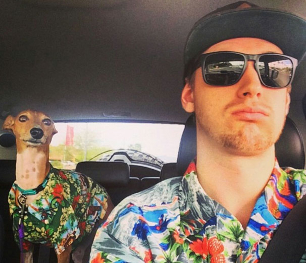 10 Pictures That Prove That Dogs Are Awesome - picture 7