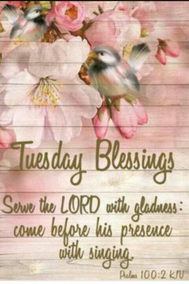 10 Pleasing Tuesday Messages And Quotes - picture 10