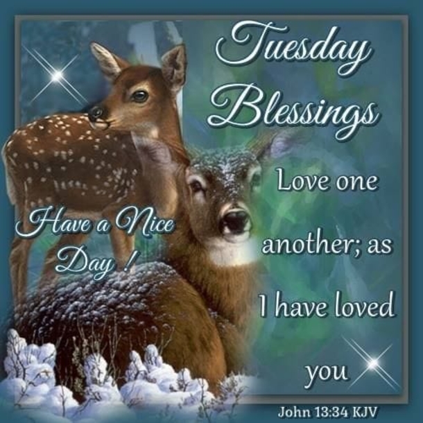 10 Pleasing Tuesday Messages And Quotes - picture 3