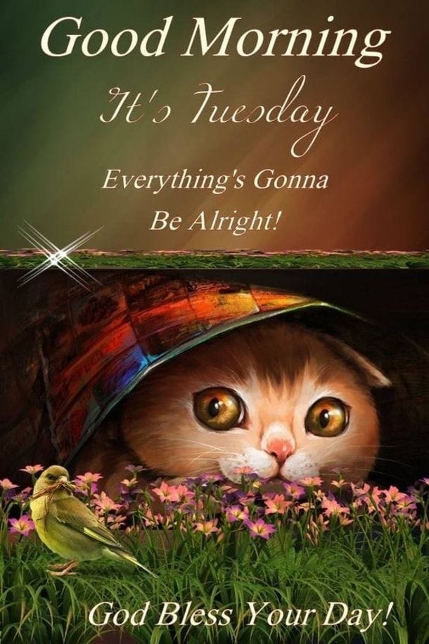 10 Pleasing Tuesday Messages And Quotes - picture 6