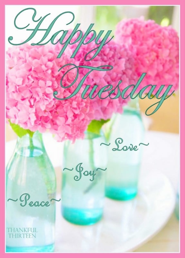 10 Pleasing Tuesday Messages And Quotes - picture 8