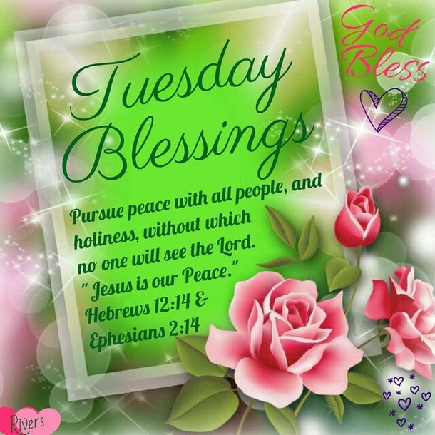 10 Pleasing Tuesday Messages And Quotes - picture 9