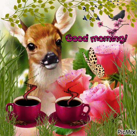 10 Popular Good Morning Gifs And Quotes - picture 7