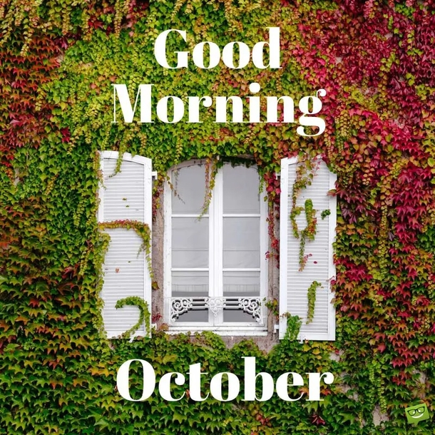 10 Popular Good Morning October Quotes Pictures In 2023 - picture 11
