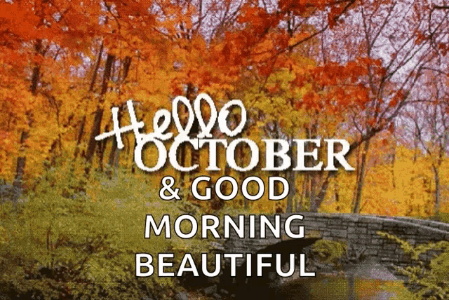 10 Popular Good Morning October Quotes Pictures In 2023 - picture 6