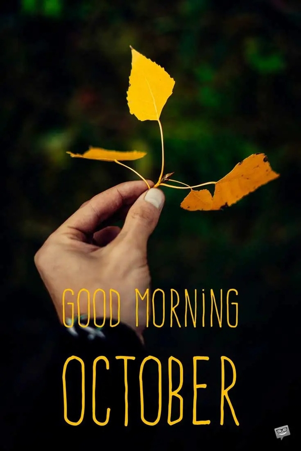 10 Popular Good Morning October Quotes Pictures In 2023 - picture 9